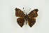  ( - BC-TB9376)  @13 [ ] Copyright (2012) Thierry Bouyer Research Collection of Thierry Bouyer