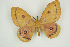  ( - BC-TB9424)  @14 [ ] Copyright (2012) Thierry Bouyer Research Collection of Thierry Bouyer
