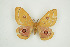  ( - BC-TB9434)  @14 [ ] Copyright (2012) Thierry Bouyer Research Collection of Thierry Bouyer