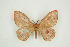  ( - BC-TB9446)  @14 [ ] Copyright (2012) Thierry Bouyer Research Collection of Thierry Bouyer