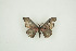  ( - BC-TB9479)  @12 [ ] Copyright (2012) Thierry Bouyer Research Collection of Thierry Bouyer