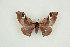  ( - BC-TB9486)  @13 [ ] Copyright (2012) Thierry Bouyer Research Collection of Thierry Bouyer