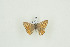  ( - BC-TB9599)  @12 [ ] Copyright (2012) Thierry Bouyer Research Collection of Thierry Bouyer