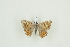  ( - BC-TB9600)  @12 [ ] Copyright (2012) Thierry Bouyer Research Collection of Thierry Bouyer