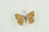  ( - BC-TB9606)  @12 [ ] Copyright (2012) Thierry Bouyer Research Collection of Thierry Bouyer