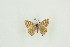  ( - BC-TB9608)  @12 [ ] Copyright (2012) Thierry Bouyer Research Collection of Thierry Bouyer