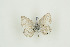  ( - BC-TB9621)  @12 [ ] Copyright (2012) Thierry Bouyer Research Collection of Thierry Bouyer