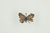  ( - BC-TB9622)  @12 [ ] Copyright (2012) Thierry Bouyer Research Collection of Thierry Bouyer