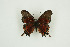  ( - BC-TB9646)  @13 [ ] Copyright (2012) Thierry Bouyer Research Collection of Thierry Bouyer