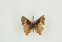  ( - BC-TB9666)  @13 [ ] Copyright (2012) Thierry Bouyer Research Collection of Thierry Bouyer