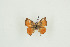  ( - BC-TB9667)  @11 [ ] Copyright (2012) Thierry Bouyer Research Collection of Thierry Bouyer