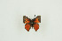  ( - BC-TB9680)  @12 [ ] Copyright (2012) Thierry Bouyer Research Collection of Thierry Bouyer