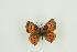 ( - BC-TB9685)  @13 [ ] Copyright (2012) Thierry Bouyer Research Collection of Thierry Bouyer
