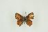  ( - BC-TB9697)  @12 [ ] Copyright (2012) Thierry Bouyer Research Collection of Thierry Bouyer