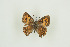  ( - BC-TB9698)  @13 [ ] Copyright (2012) Thierry Bouyer Research Collection of Thierry Bouyer