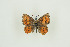  ( - BC-TB9701)  @13 [ ] Copyright (2012) Thierry Bouyer Research Collection of Thierry Bouyer