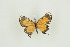  ( - BC-TB9741)  @12 [ ] Copyright (2012) Thierry Bouyer Research Collection of Thierry Bouyer