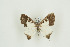 ( - BC-TB9757)  @11 [ ] Copyright (2012) Thierry Bouyer Research Collection of Thierry Bouyer