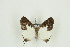  ( - BC-TB9771)  @11 [ ] Copyright (2012) Thierry Bouyer Research Collection of Thierry Bouyer
