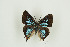  ( - BC-TB9810)  @12 [ ] Copyright (2012) Thierry Bouyer Research Collection of Thierry Bouyer