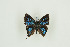  ( - BC-TB9834)  @11 [ ] Copyright (2012) Thierry Bouyer Research Collection of Thierry Bouyer
