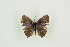  ( - BC-TB9837)  @11 [ ] Copyright (2012) Thierry Bouyer Research Collection of Thierry Bouyer