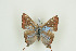  ( - BC-TB9872)  @11 [ ] Copyright (2012) Thierry Bouyer Research Collection of Thierry Bouyer