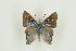 ( - BC-TB9873)  @13 [ ] Copyright (2012) Thierry Bouyer Research Collection of Thierry Bouyer