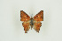  ( - BC-TB9878)  @11 [ ] Copyright (2012) Thierry Bouyer Research Collection of Thierry Bouyer