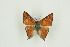  ( - BC-TB9880)  @11 [ ] Copyright (2012) Thierry Bouyer Research Collection of Thierry Bouyer