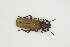  ( - BC-TB9925)  @12 [ ] Copyright (2012) Thierry Bouyer Research Collection of Thierry Bouyer