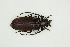  ( - BC-TB9926)  @11 [ ] Copyright (2012) Thierry Bouyer Research Collection of Thierry Bouyer