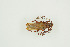  ( - BC-TB9951)  @11 [ ] Copyright (2012) Thierry Bouyer Research Collection of Thierry Bouyer