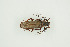  ( - BC-TB9952)  @11 [ ] Copyright (2012) Thierry Bouyer Research Collection of Thierry Bouyer