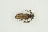  ( - BC-TB9953)  @11 [ ] Copyright (2012) Thierry Bouyer Research Collection of Thierry Bouyer