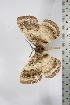  ( - BC-TB5237)  @13 [ ] Copyright (2010) Unspecified Research Collection of Thierry Bouyer