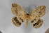  ( - BC-TB5615)  @14 [ ] Copyright (2010) Unspecified Research Collection of Thierry Bouyer