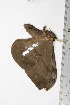  ( - BC-TB1762)  @12 [ ] Copyright (2010) Unspecified Research Collection of Thierry Bouyer