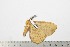  ( - BC-TB2018)  @13 [ ] Copyright (2010) Unspecified Research Collection of Thierry Bouyer