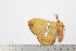  ( - BC-TB2019)  @13 [ ] Copyright (2010) Unspecified Research Collection of Thierry Bouyer