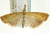  ( - CNCLEP00089814)  @14 [ ] CreativeCommons - Attribution Non-Commercial Share-Alike (2011) Jean-Francois Landry, CNC and Zhaofu Yang, BIO Canadian National Collections
