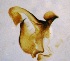  ( - TAF-RO-11-1)  @11 [ ] Unspecified (default): All Rights Reserved  Unspecified Unspecified