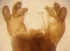  ( - PPDPB-RO-03-01)  @12 [ ] Unspecified (default): All Rights Reserved  Unspecified Unspecified