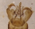  ( - LLMMQN-RO-01-01)  @12 [ ] Unspecified (default): All Rights Reserved  Unspecified Unspecified