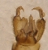  ( - LLMMQN-RO-03-01)  @12 [ ] Unspecified (default): All Rights Reserved  Unspecified Unspecified