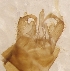  ( - LLMMT-RO-04-02)  @12 [ ] Unspecified (default): All Rights Reserved  Unspecified Unspecified