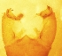  ( - PCT-RO-10-7)  @12 [ ] Unspecified (default): All Rights Reserved  Unspecified Unspecified