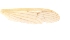  ( - PCT-RO-10-7)  @12 [ ] Unspecified (default): All Rights Reserved  Unspecified Unspecified