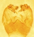  ( - PCT-RO-8-3)  @12 [ ] Unspecified (default): All Rights Reserved  Unspecified Unspecified