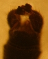  ( - PPTTI-RO-01-02)  @11 [ ] Unspecified (default): All Rights Reserved  Unspecified Unspecified